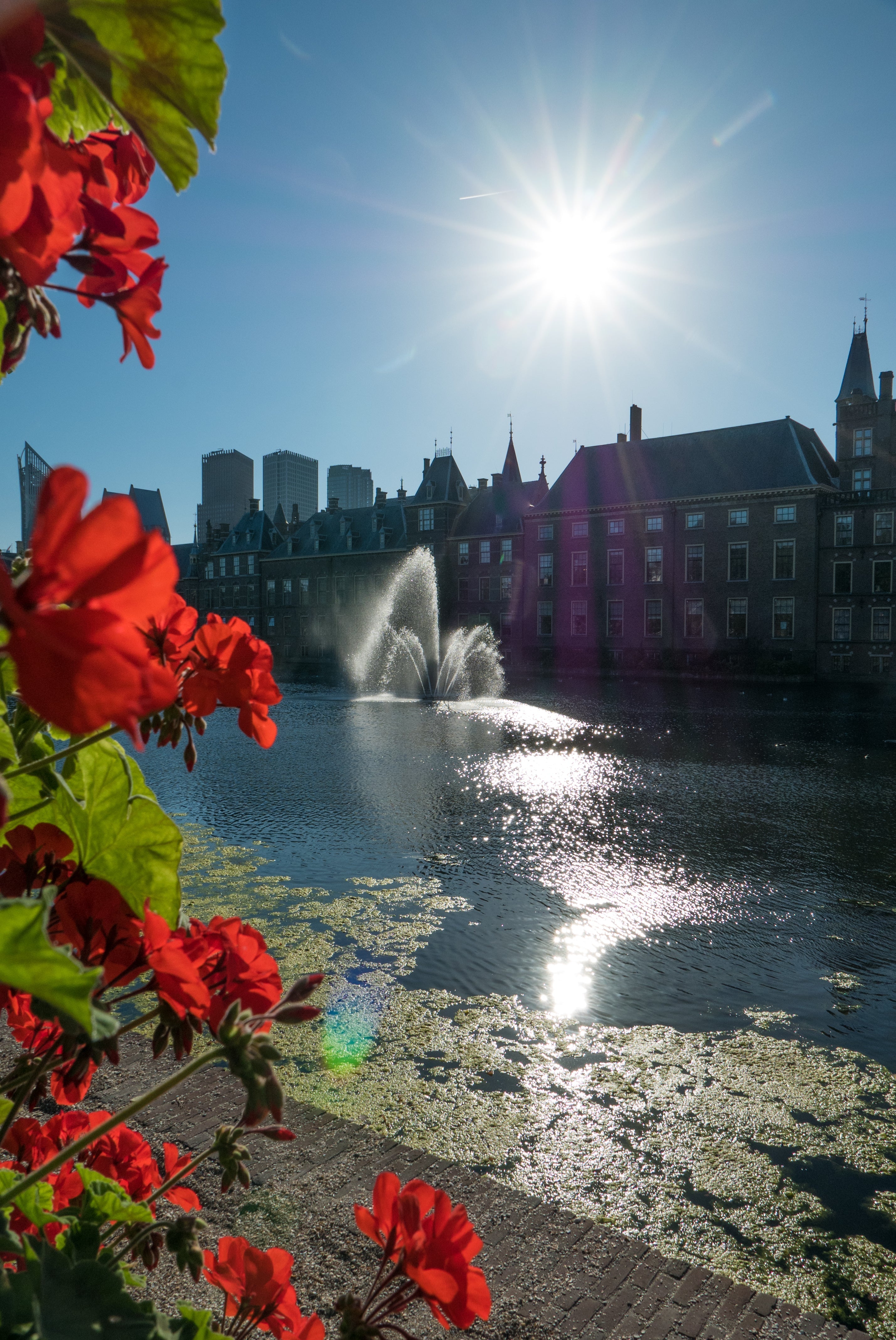 Zaterdag 27 juni Gesloten i.v.m. de Nederlandse Veteranendag
