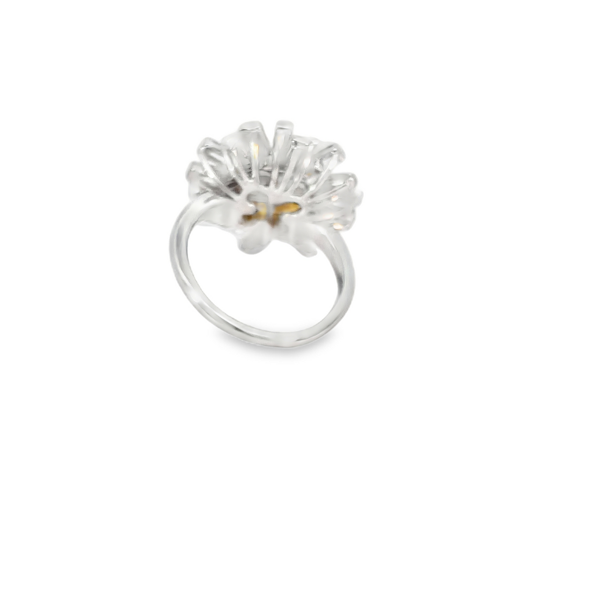 Ballerina ring bag/parel