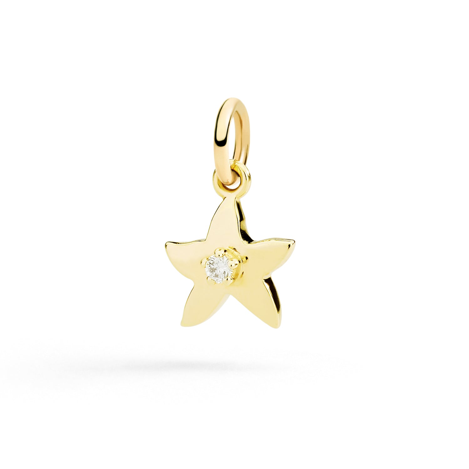 Stellina Charm